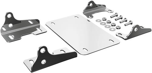 License Plate/Turn Signal Mount