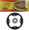 Chain and Sprocket Kit - Honda - TRX 450R/ER - 06-14