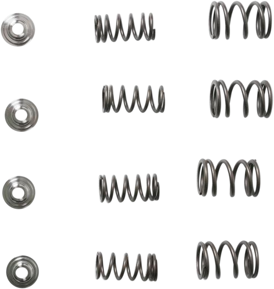 Valve Spring Kit