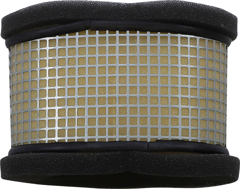 Air Filter - Polaris