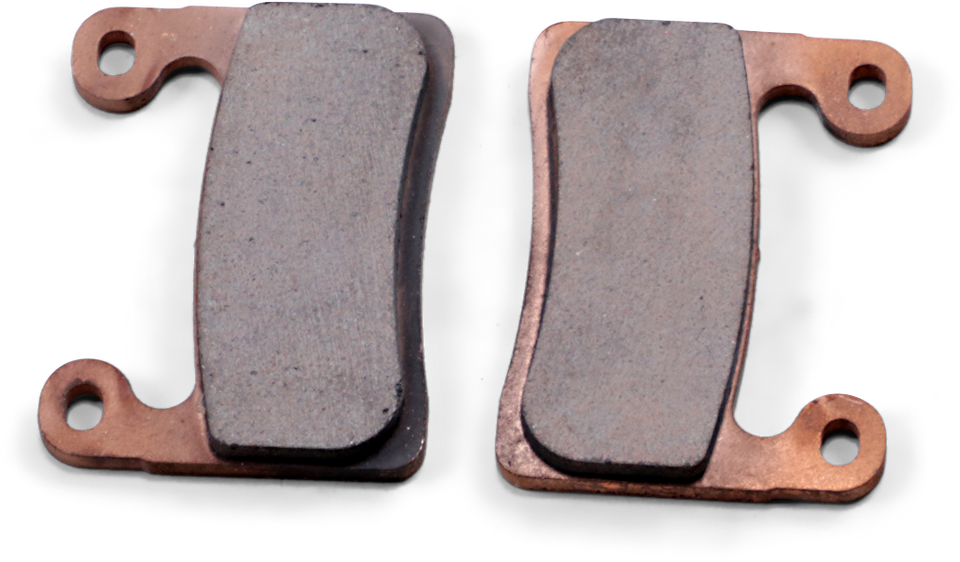 Sintered Brake Pads - S1000RR
