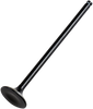 Exhaust Valve