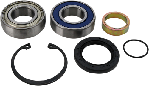Chain Case Bearing and Seal Kit