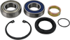 Chain Case Bearing and Seal Kit