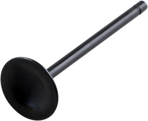 Intake Valve