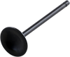 Intake Valve