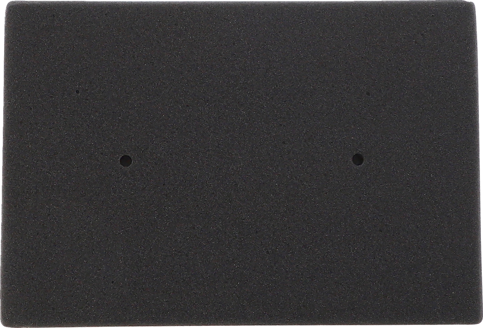 Air Filter - Kawasaki