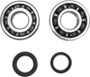 Crank Bearing and Seal Kit - Suzuki