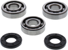 Crank Bearings and Seals - Yamaha