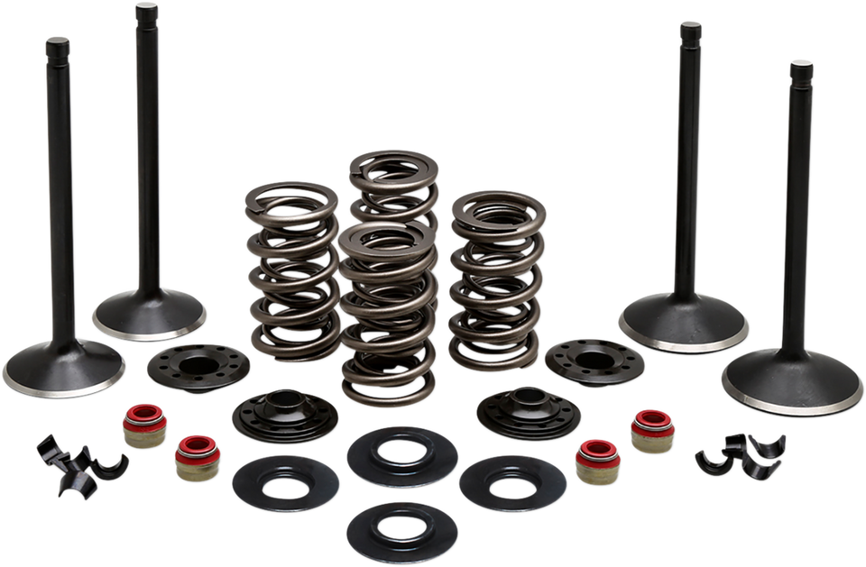 Complete Valve Kit - Evolution