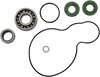 Water Pump Rebuild Kit - KTM