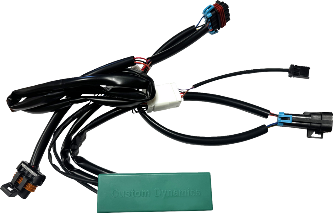 Module - Run/Turn/Brake - RZR