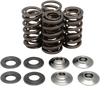 Spring Kit - .445"