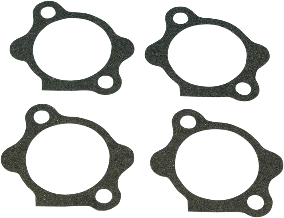 Starter Gasket - XL - Lutzka's Garage