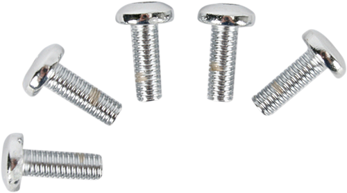 Rotor Bolt Set - Cast - Chrome - Lutzka's Garage