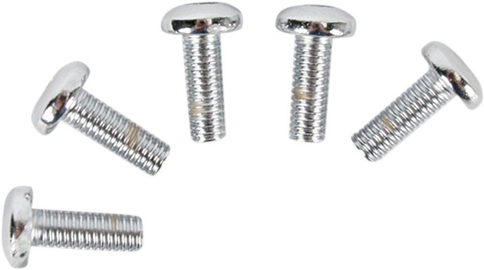 Rotor Bolt Set - Cast - Chrome - Lutzka's Garage