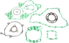 Complete Gasket Kit - Honda
