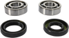 Crank Bearing and Seal Kit - Yamaha