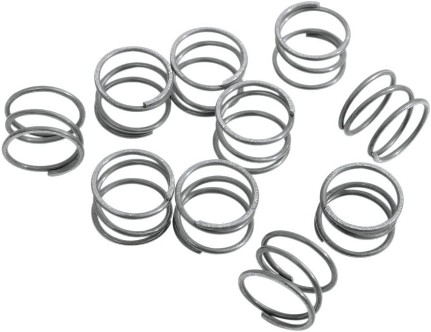 Rocker Arm Shaft Springs