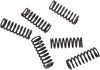 Clutch Springs - CRF 450