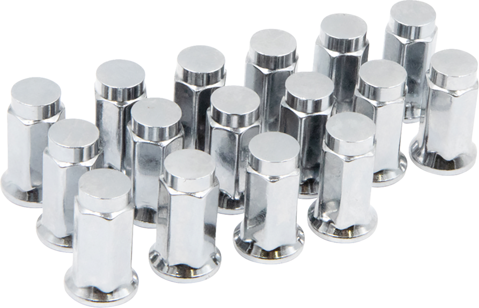 Lug Nuts - Hex/Flat - 12 mm x 1.25 - 16 Pack