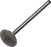 Exhaust Valve