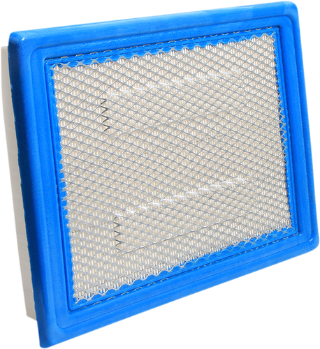 Replacement Air Filter - Polaris