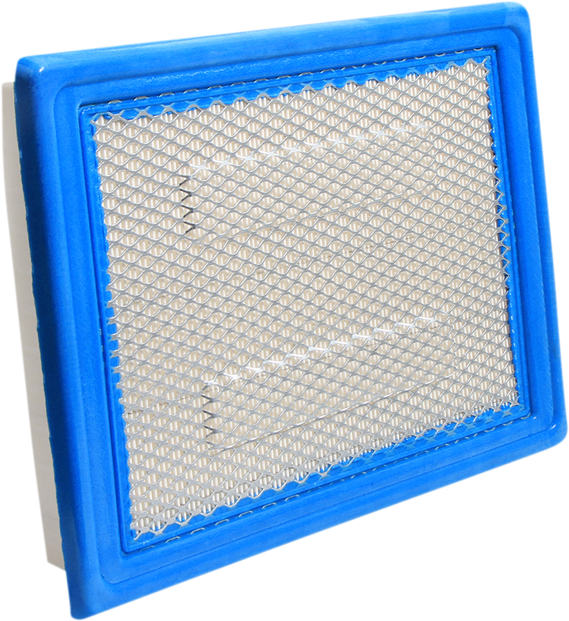 Replacement Air Filter - Polaris