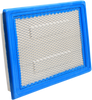 Replacement Air Filter - Polaris