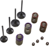 Valve Kit