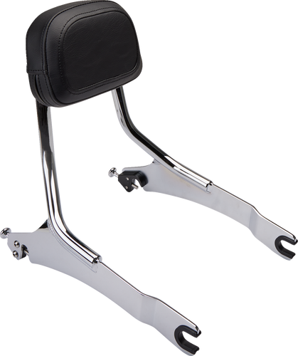 Detachable Backrest - Chrome - Two-up Seat - Scout - Lutzka's Garage