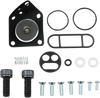 Petcock Rebuild Kit - Kawasaki