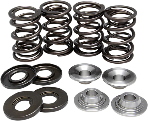 Valve Spring Kit