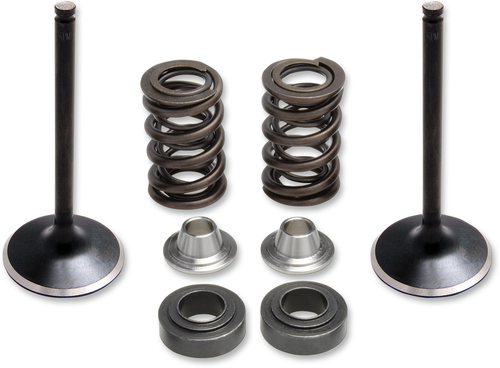 Valve Spring Kit