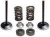 Valve Spring Kit