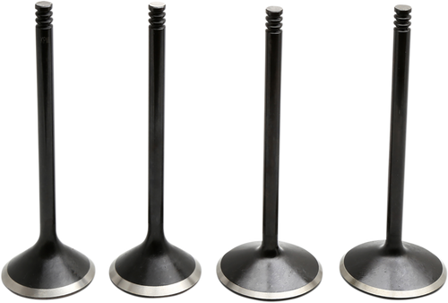 Valve Kit - Evolution/1200