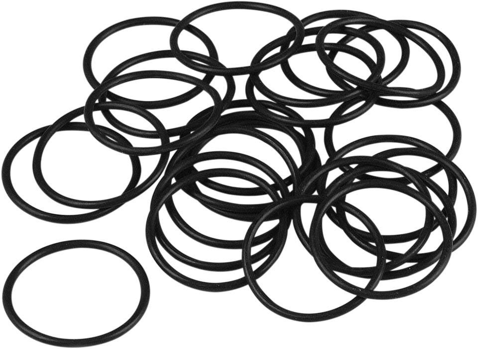 Primary Filler Plug O-Ring - XL - Lutzka's Garage