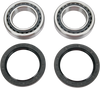 Wheel Bearing Kit - Rear