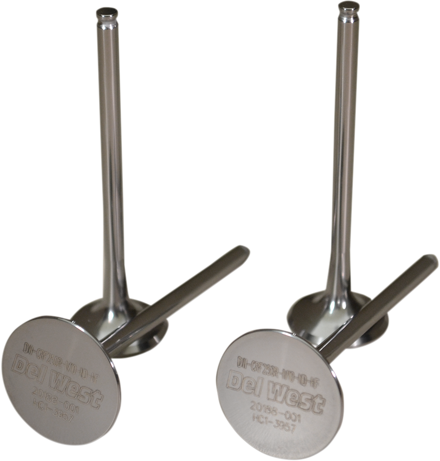 Exhaust Valves