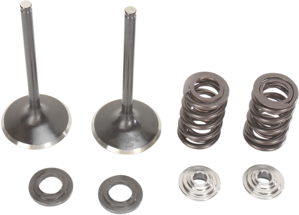 Intake Valve Kit