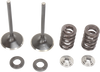 Intake Valve Kit