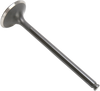 Exhaust Valve