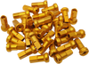 Spoke Nipples - MX1 - Gold - 8 Gauge - Set - Lutzka's Garage