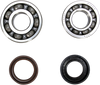 Crank Bearing and Seal Kit - Yamaha