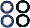 Wheel Bearing Kit - Rear