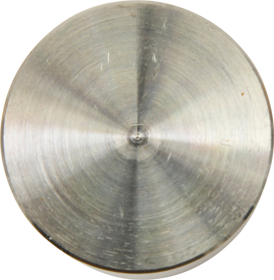 Brake Caliper Piston