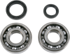 Crank Bearings and Seals - Suzuki