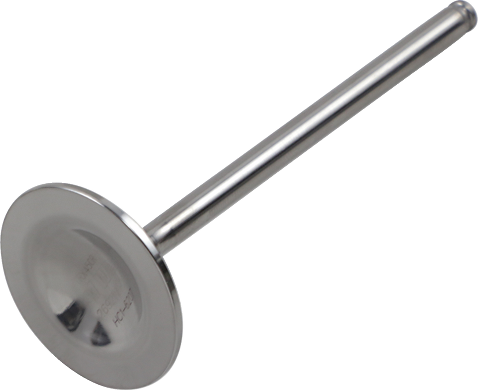 Exhaust Valve