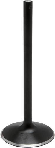 Exhaust Valve - Evolution