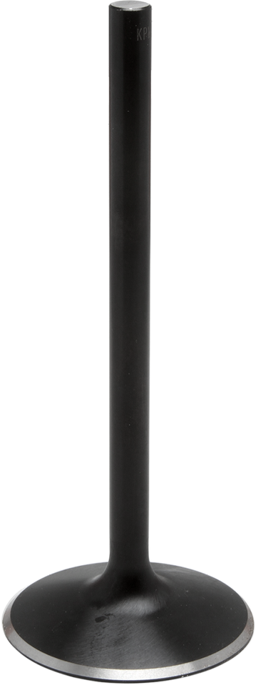 Exhaust Valve - Evolution